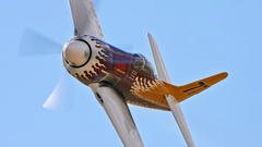 High bearcat Resolution