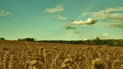 High bob sigh prob Resolution