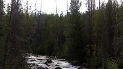 High camping redfish creek