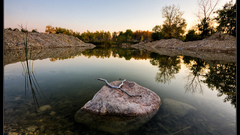 High content ) With bumping Resolution fbae