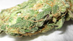 High dank Resolution