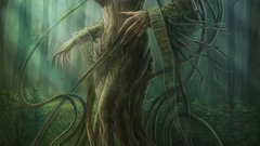 High dryad Resolution