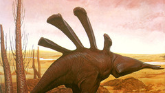 High expedition Resolution rayback