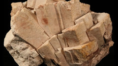 High feldspar suddenly