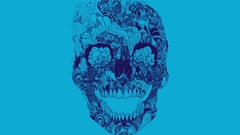 High fixed Resolution