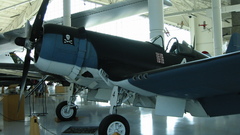 High girl corsair beautiful