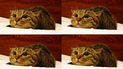 High has hires anyone Resolution