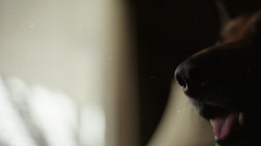 High have anyone similar anything Resolution