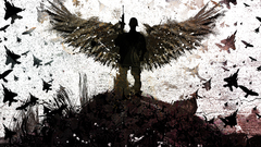 High Indestructible Resolution flcn