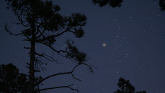 High jacques Resolution forestsky