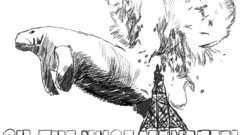 High manatee Resolution