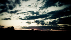 High mar Resolution treeofknowledge