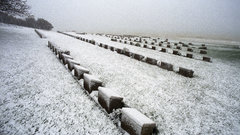 High med ari Resolution burnu