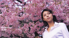 High miho Resolution photobook yoshioka