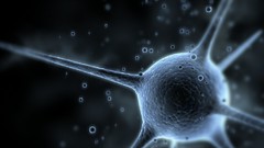 High Monday Resolution