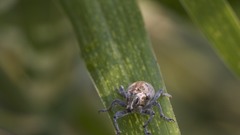 High My humble addition