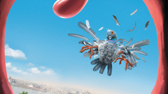 High pub Resolution mouette