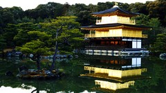 High Resolution bcaf