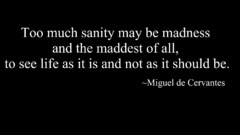 High Resolution cervantes