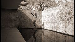 High Resolution cfca