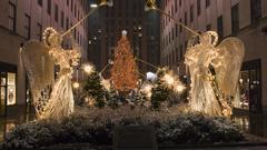 High Resolution cgrgvt