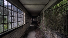 High Resolution ddac