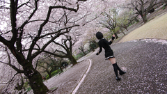 High Resolution edacacceab