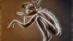 High Resolution evoluzione hiram