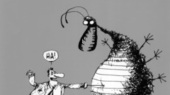 High Resolution foilflu