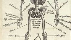 High Resolution gersdorff