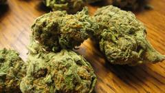 High Resolution greencrackgc