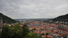 High Resolution heidelburg
