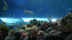 High Resolution img 3989