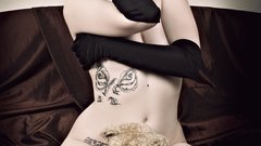 High Resolution img 6514