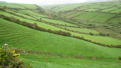 High Resolution irelandpasture