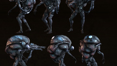 High Resolution jaemuswurzbach