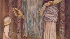 High Resolution jbtrollhall tjavon