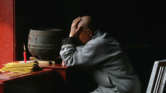 High Resolution monkstudies