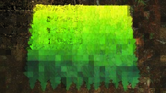 High Resolution nils