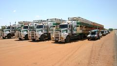 High Resolution niuqdm