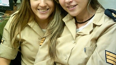 High Resolution pals