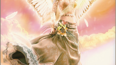 High Resolution sdsfdsfdd