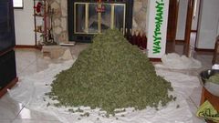 High Resolution thestash