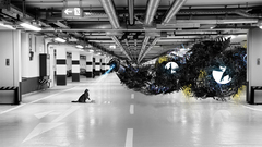 High Resolution wslx