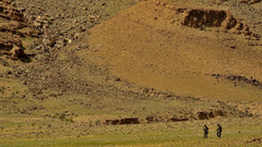 High Resolution ypdgef