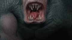 High Risen Resolution