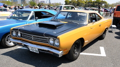 High roadrunner Resolution