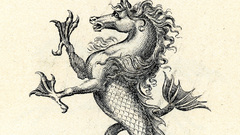 High seahorse Resolution originalinspiratio