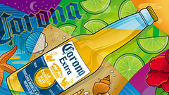 High seashell Resolution