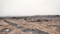 High The wasteland by